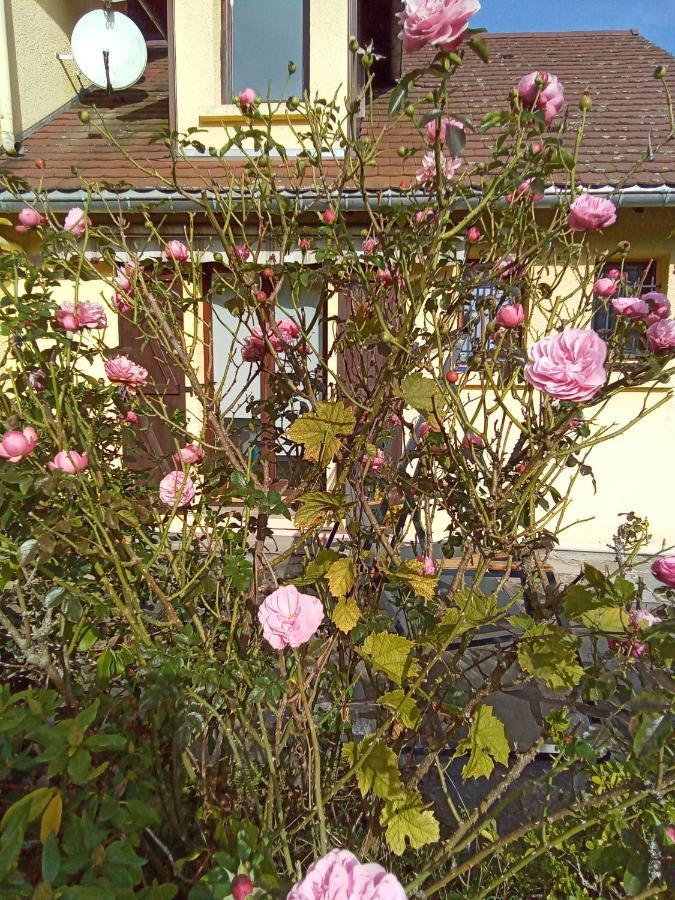 gîte des Hortensias Raon-aux-Bois Exterior foto