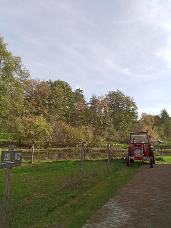 gîte des Hortensias Raon-aux-Bois Exterior foto