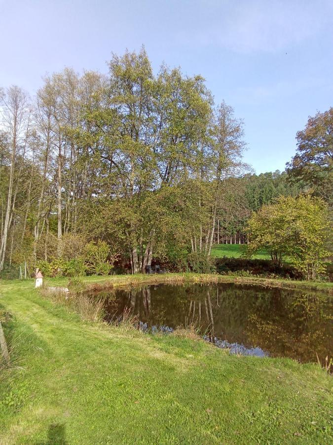gîte des Hortensias Raon-aux-Bois Exterior foto